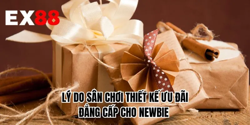 Lý do sân chơi thiết kế ưu đãi đẳng cấp cho newbie